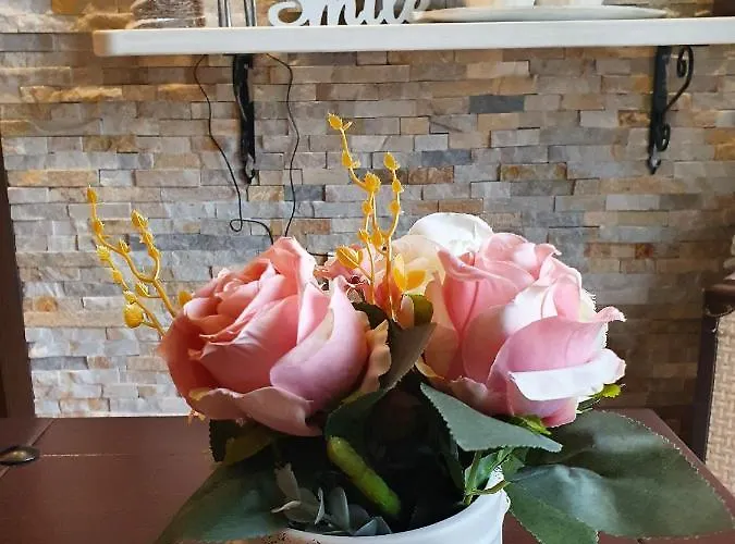 Planinska Bajka - Kraljevi Cardaci Kopaonik